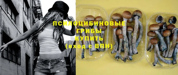 круглые Няндома