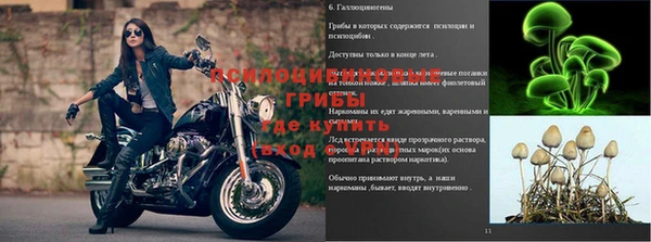круглые Няндома