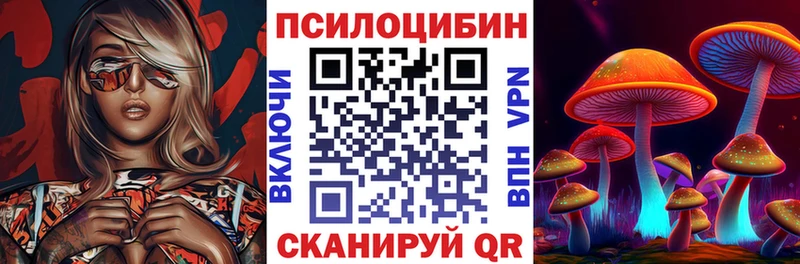 купить наркотик  Баймак  Псилоцибиновые грибы мицелий 
